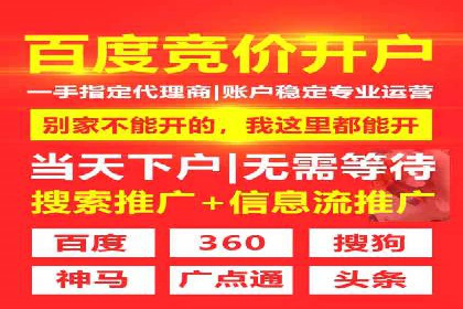 某品牌SEM代运营的成长历程与启示
